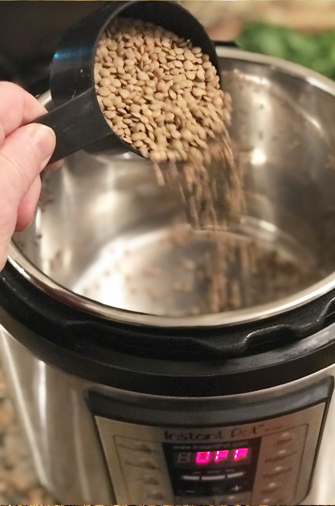 Instant Pot Beef Stew over lentils